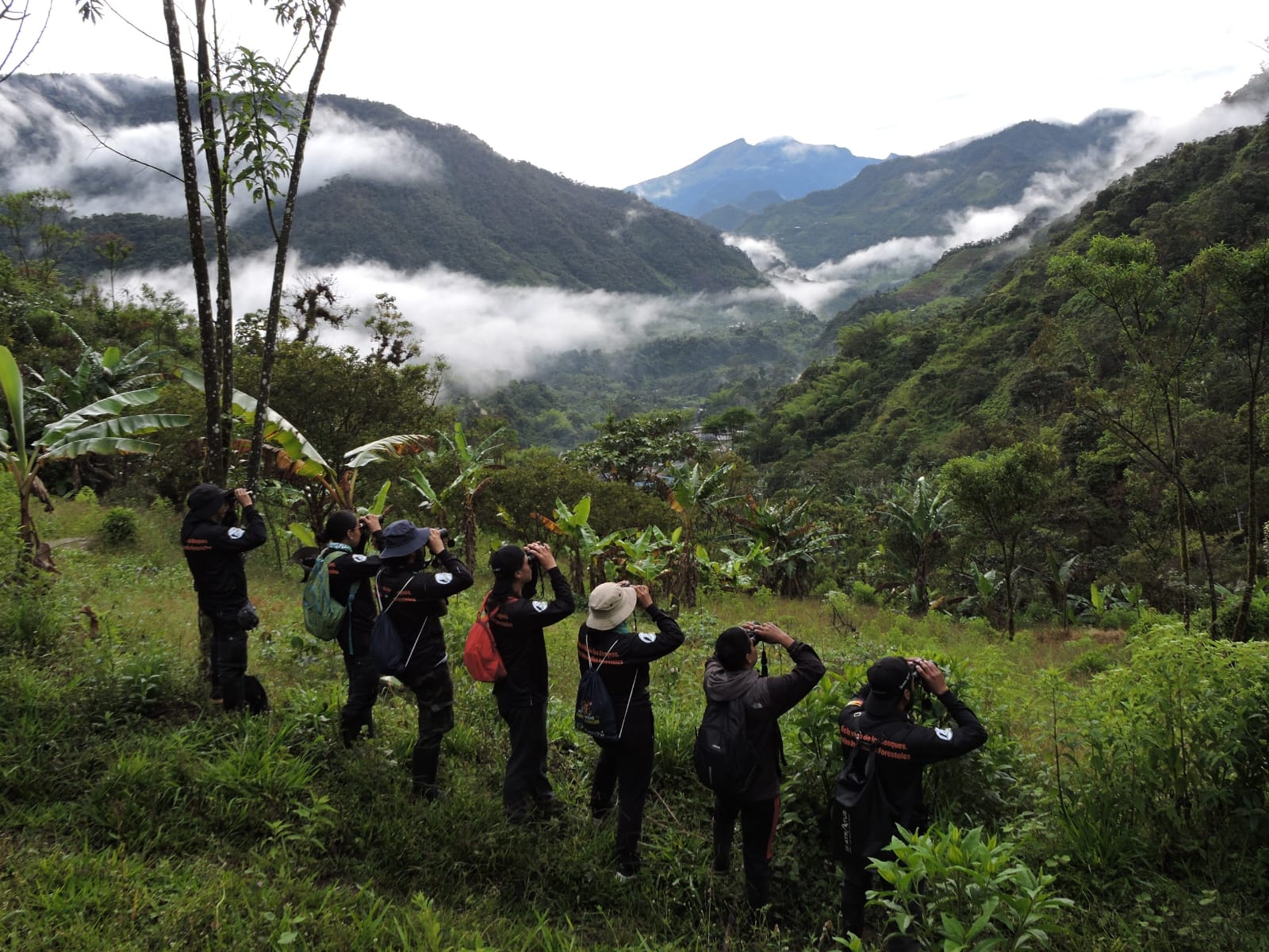 270 especies de aves identificadas en la décima cuarta edición del Conteo Navideño Binacional de Aves Chiles – Chical